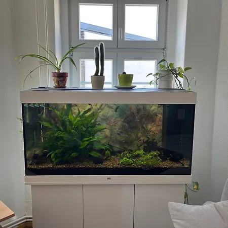 Thegreencapital